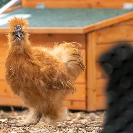 Aparthotel Centrum Szkoleniowo-konferencyjne Warschau