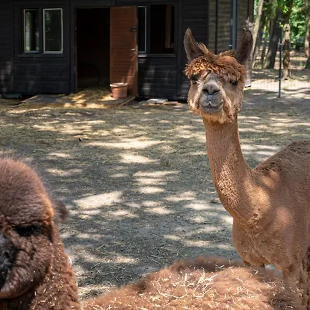 Centrum Szkoleniowo-konferencyjne Aparthotel 3*
