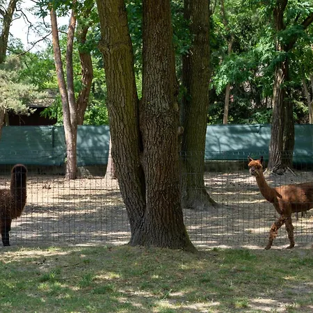 Centrum Szkoleniowo-konferencyjne