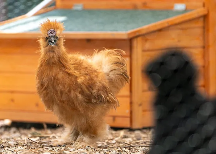 Hotel apartamentowy Centrum Szkoleniowo-konferencyjne Warszawa